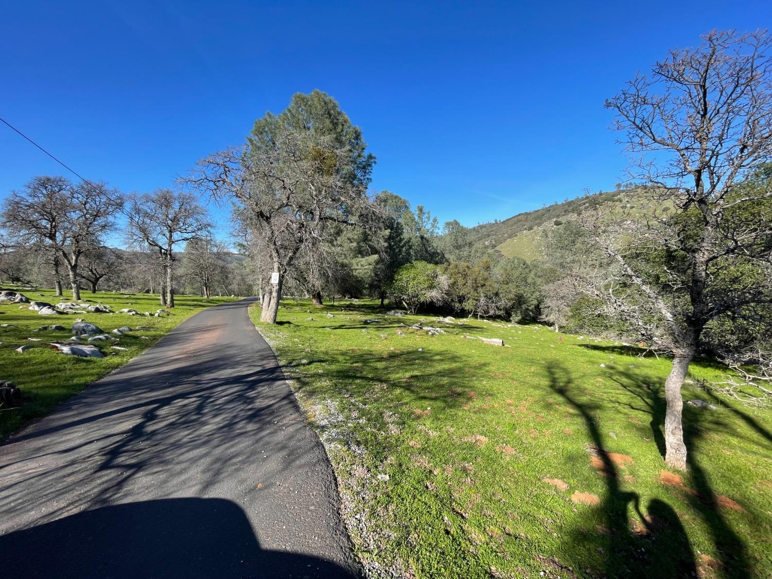 0 Airola Road Angels Camp, CA 95251 - Photo 4 of 29 a view of a yard with large trees