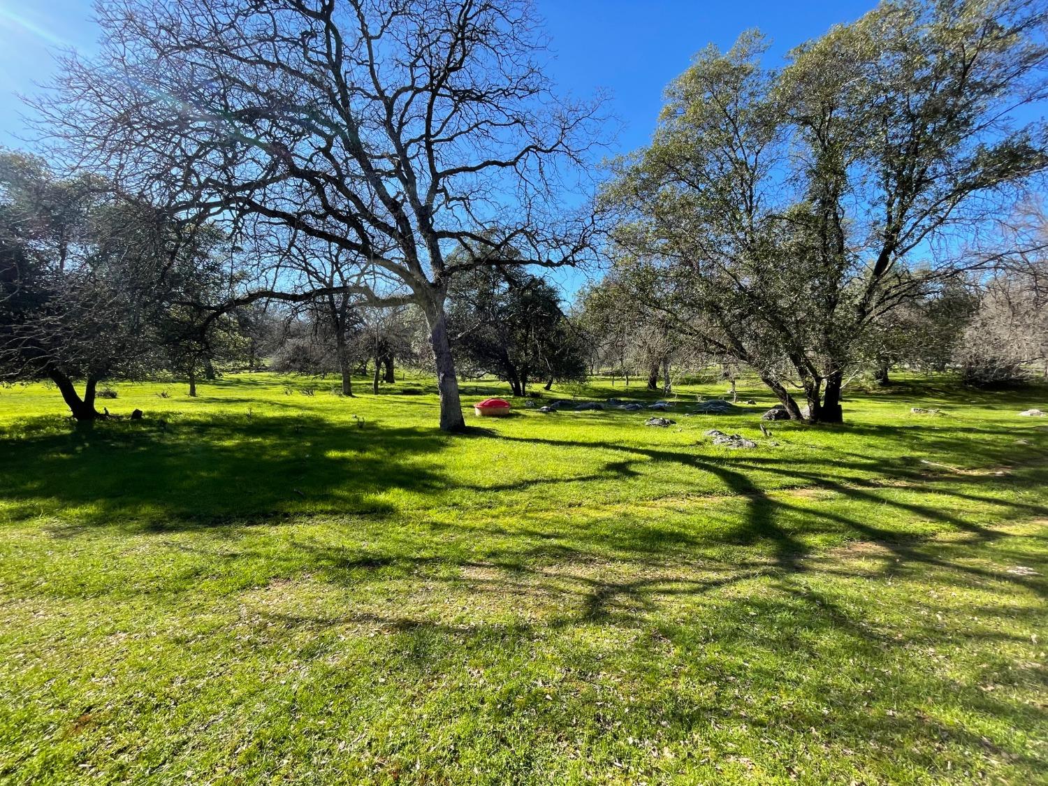 0 Airola Road Angels Camp, CA 95251 - Photo 5 of 29 a view of a golf course