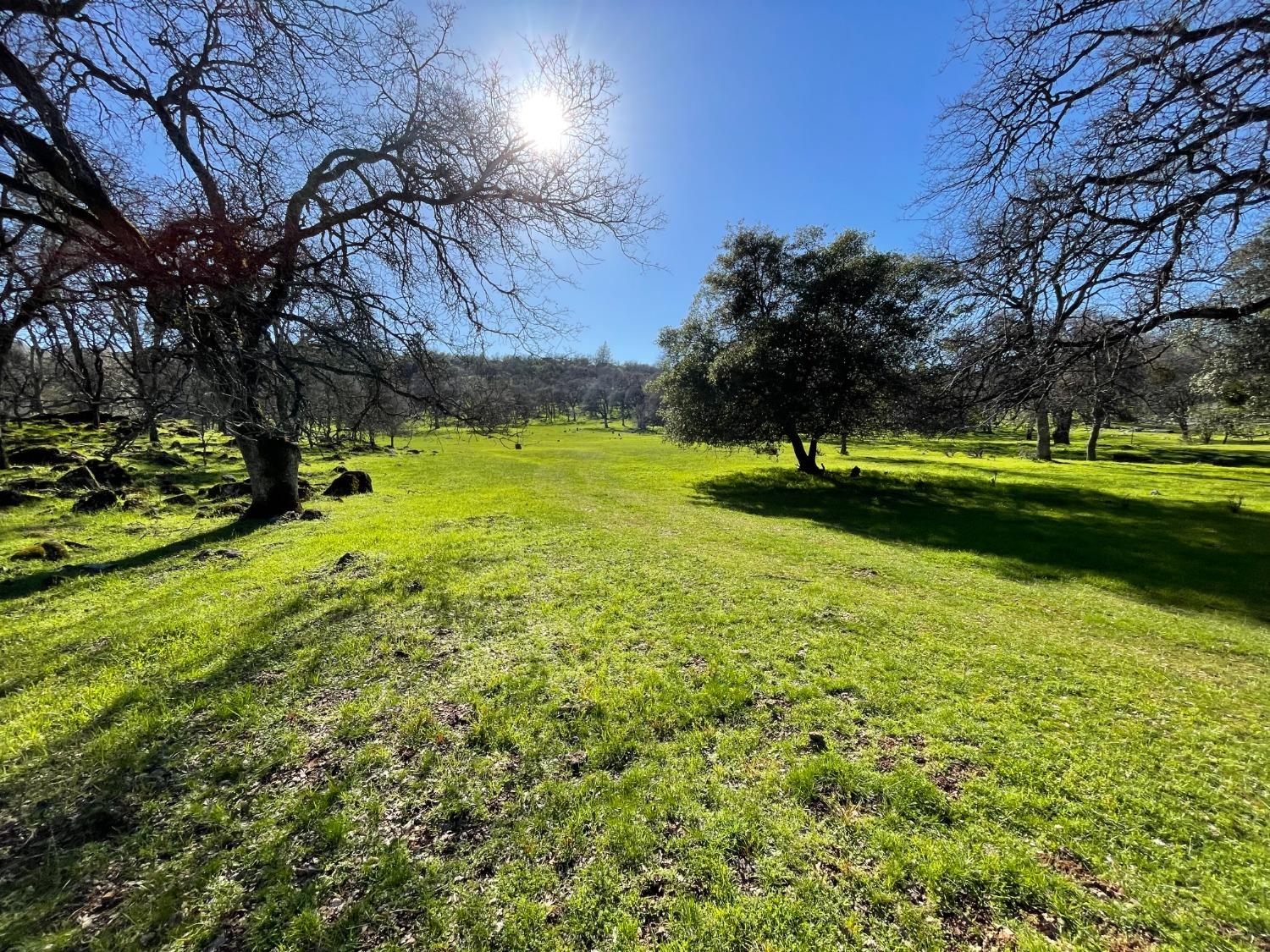 0 Airola Road Angels Camp, CA 95251 - Photo 6 of 29 a view of a yard with a house in the background