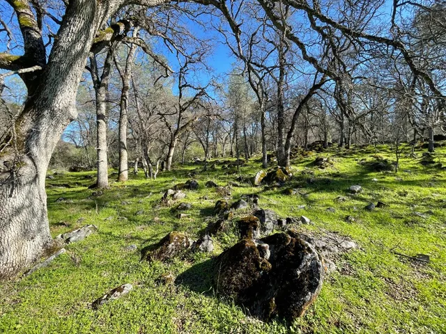 a view of outdoor space and yard
