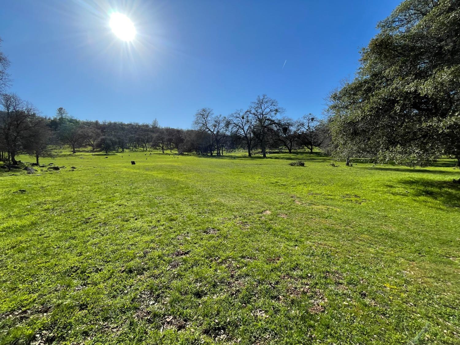 0 Airola Road Angels Camp, CA 95251 - Photo 8 of 29 a view of an ocean from a yard