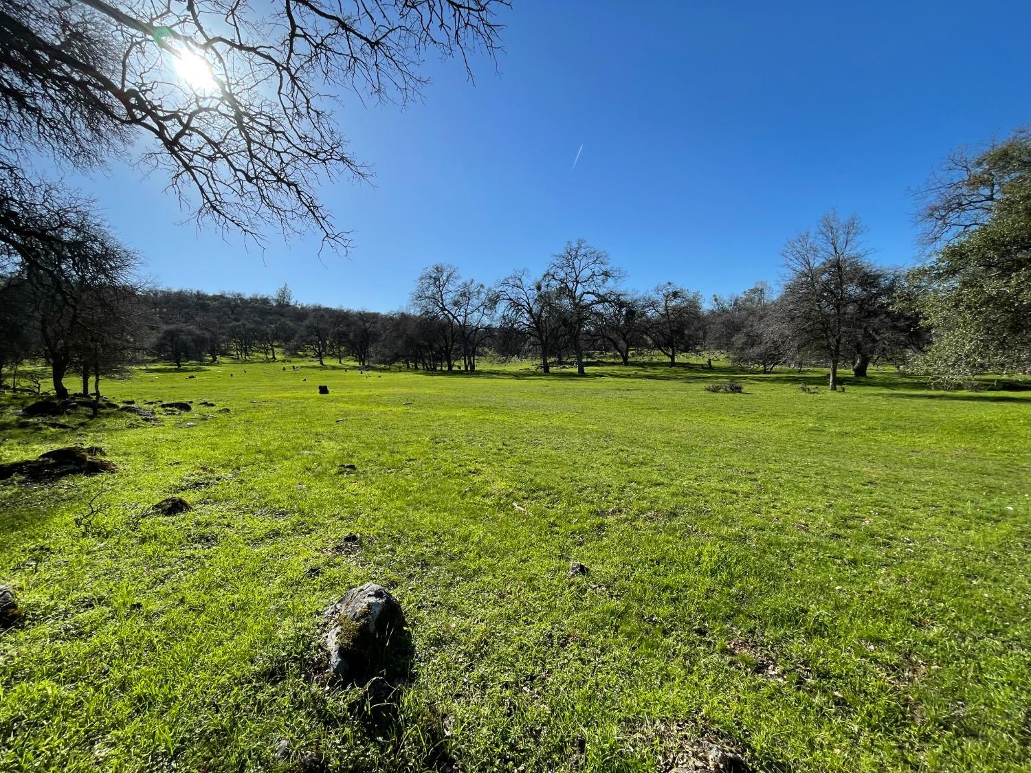 0 Airola Road Angels Camp, CA 95251 - Photo 9 of 29 a view of a golf course with a lake