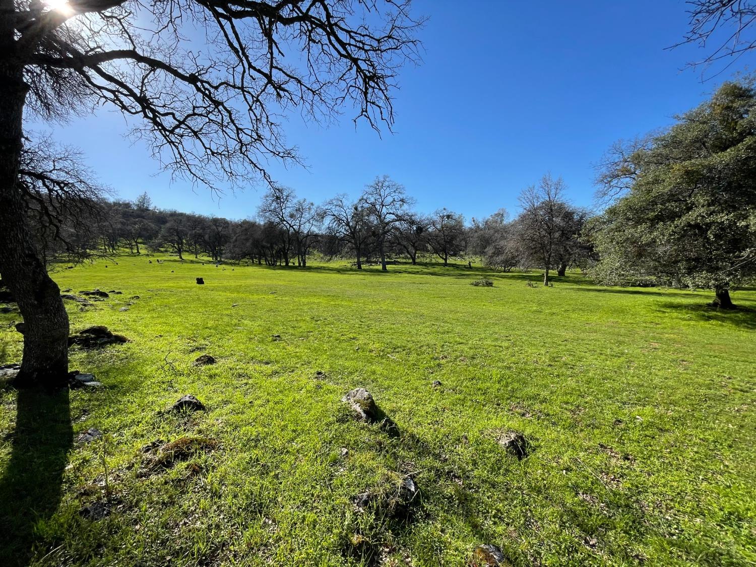0 Airola Road Angels Camp, CA 95251 - Photo 10 of 29 a view of a large body of water with a large trees