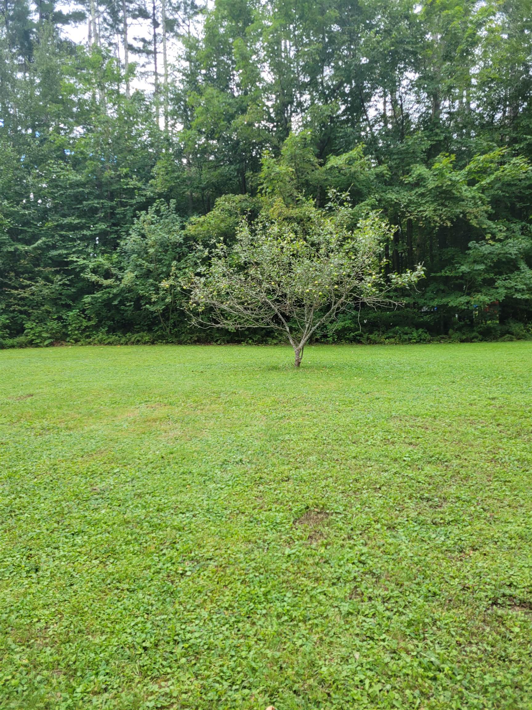 67 Outlook Way Starksboro, VT 05487 - Photo 6 of 40 Gallery Image 6