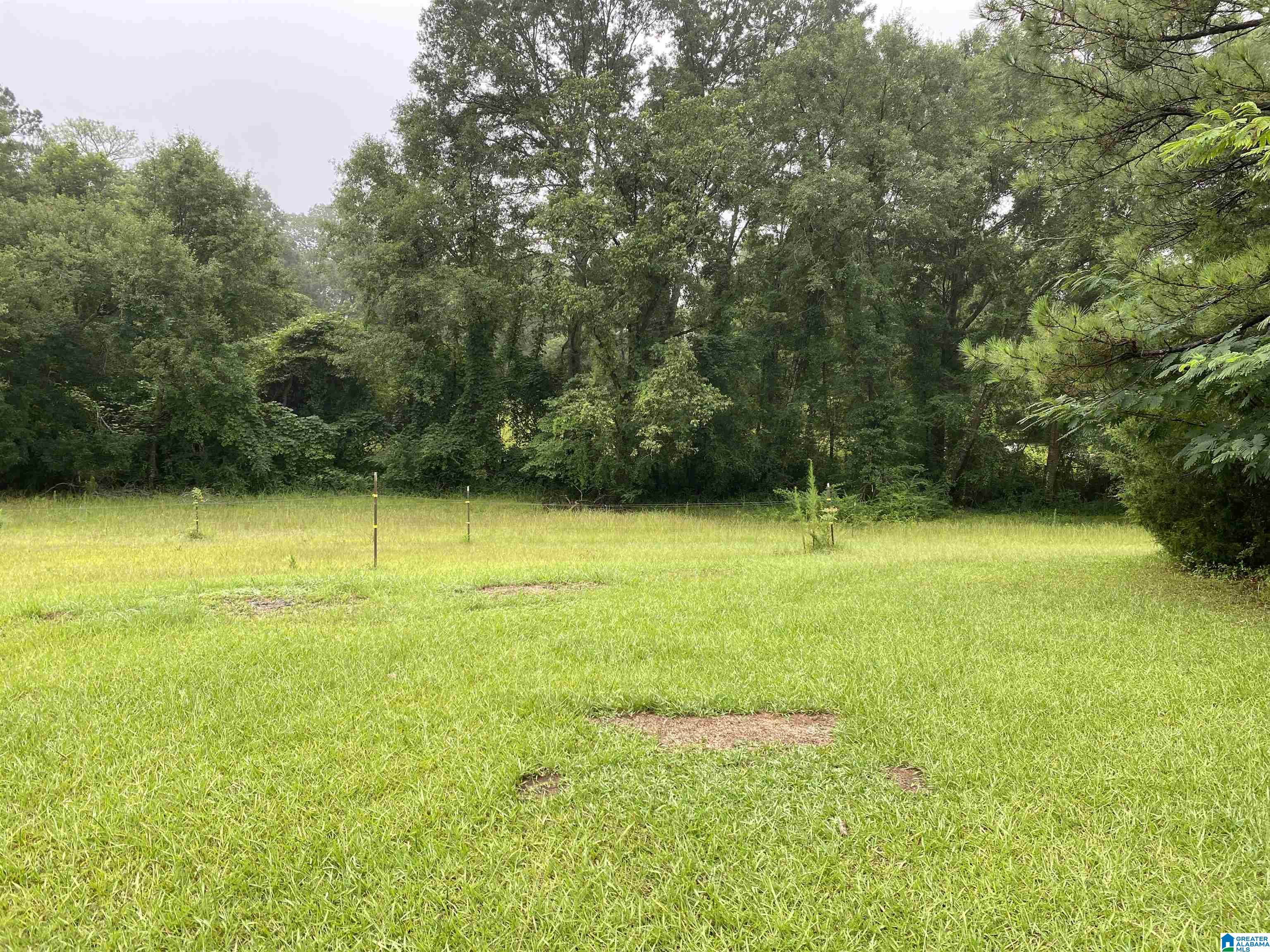 80 Old Collins Chapel Road Thorsby, AL 35171 - Photo 22 of 25