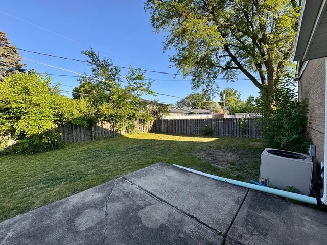 a view of a garden with plants
