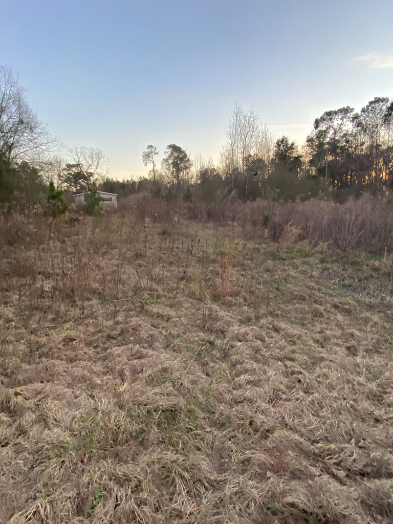 1035 Williams Road Barney, GA 31625 - Photo 6 of 21 Gallery Image 6