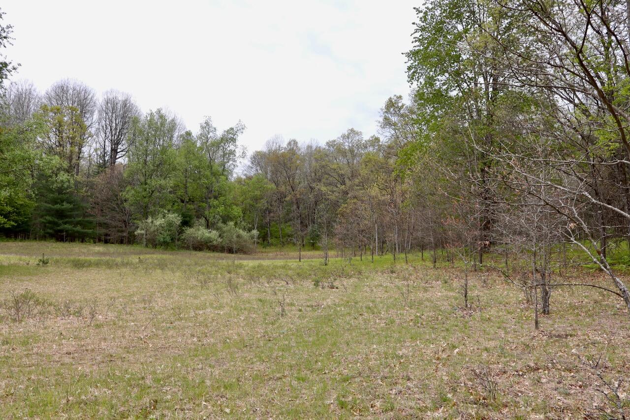 6153 South Branch Road Branch, MI 49402 - Photo 29 of 70 26