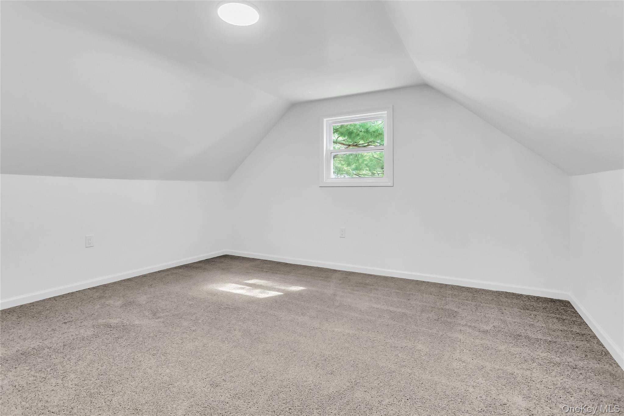 1047 Windermere Road Franklin Square, NY 11010 - Photo 13 of 19