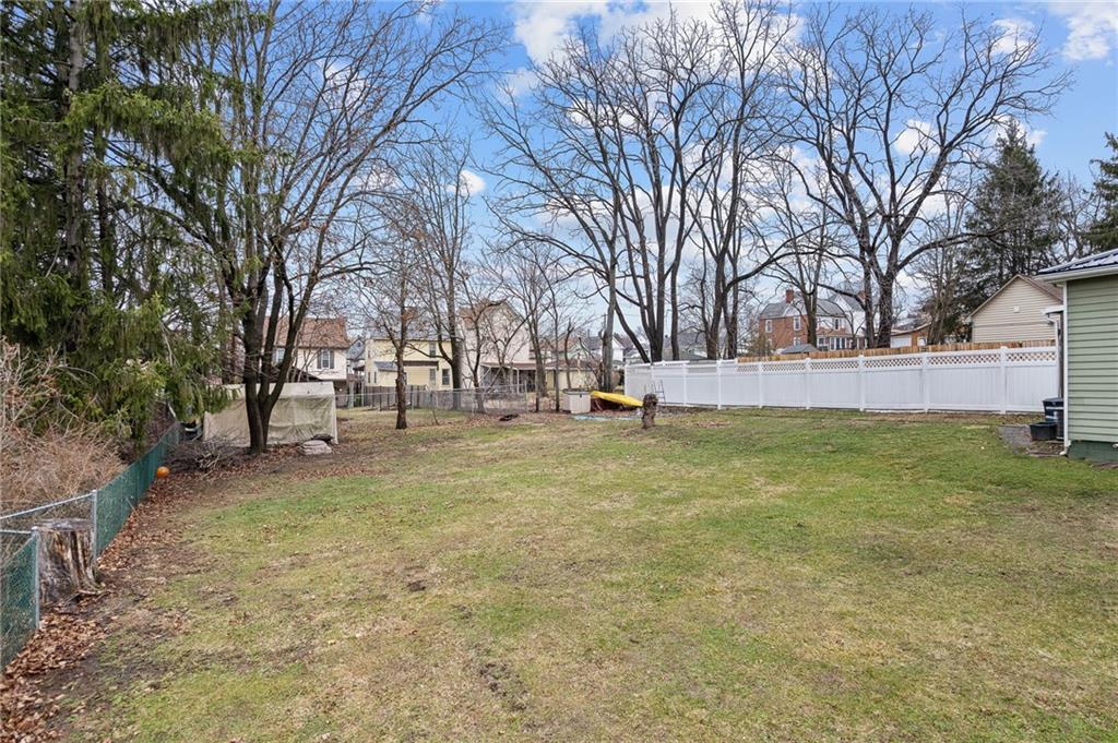 145 Lawrence Avenue Washington, PA 15301 - Photo 25 of 32 a view of yard with tree