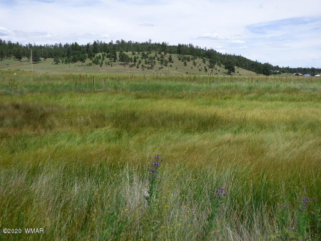 Lot 6 The Ranch Alpine, AZ 85920 - Photo 10 of 25 Gallery Image 10