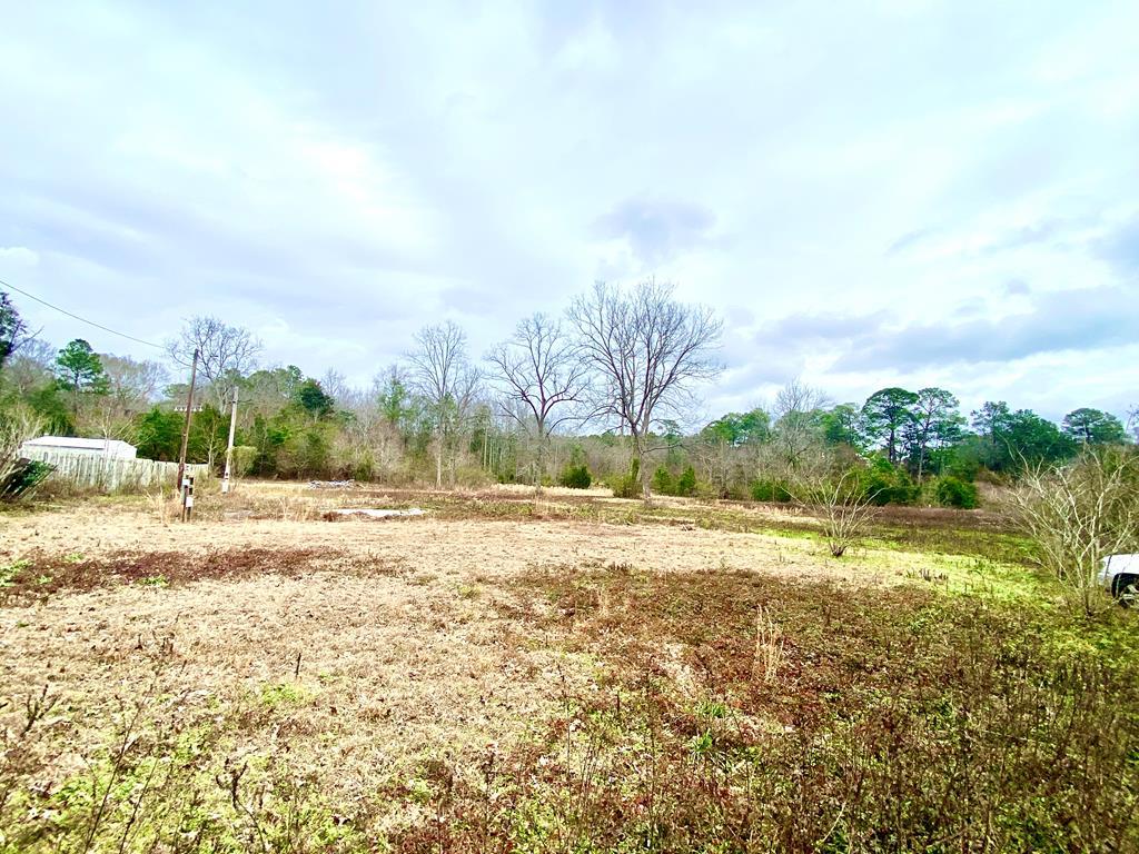 604 West W Main Street Samson, AL 36477 - Photo 1 of 5
