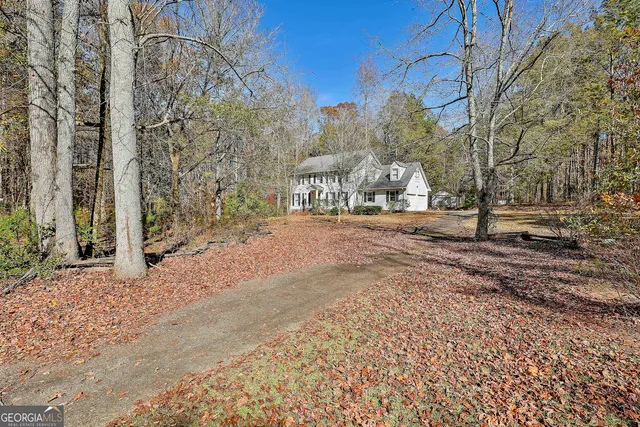 a view of a yard with trees on the side of it