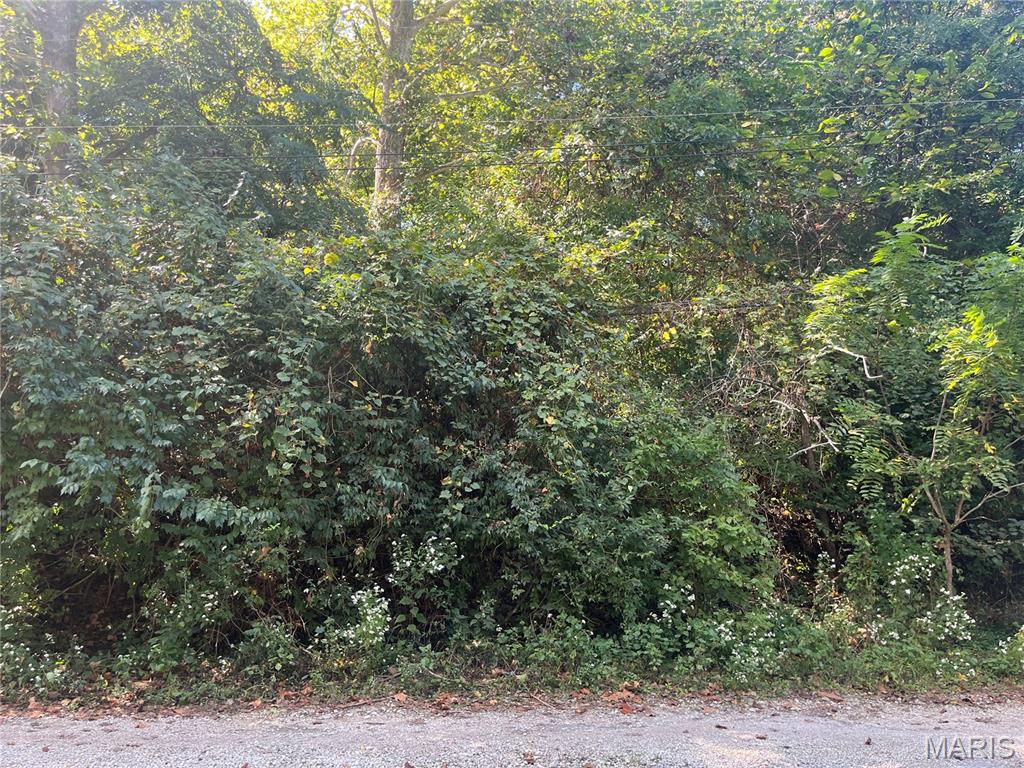 2135 Linnus Drive High Ridge, MO 63049 - Photo 3 of 4