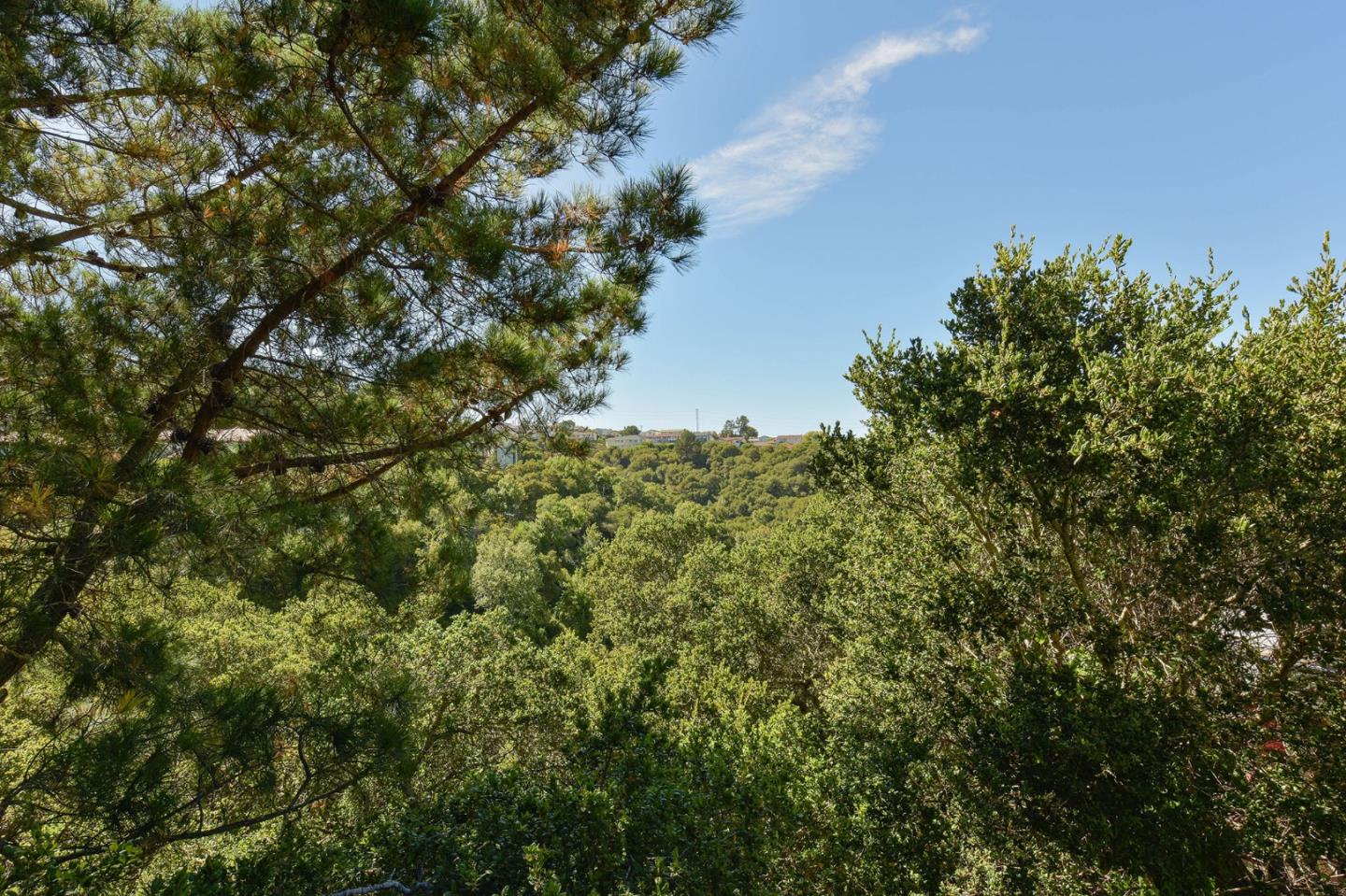 39 Colorados Drive Millbrae, CA 94030 - Photo 46 of 49 a view of a tree