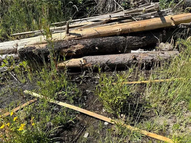 a view of outdoor seating and plants