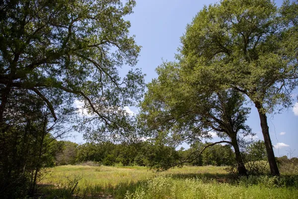 $179,900 | Lot 2 Rose Hill Road, Calvert, TX 77837
