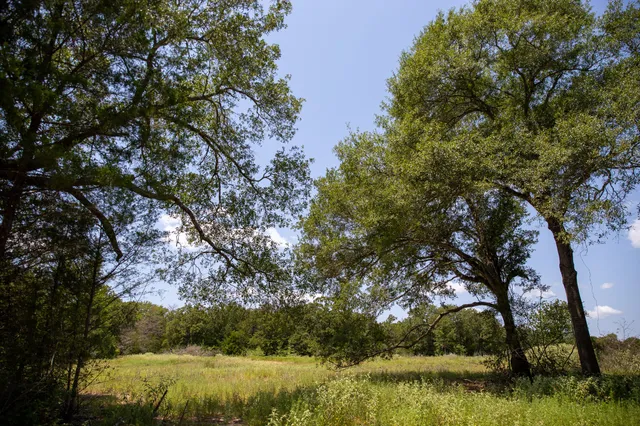 a view of lake with green space
