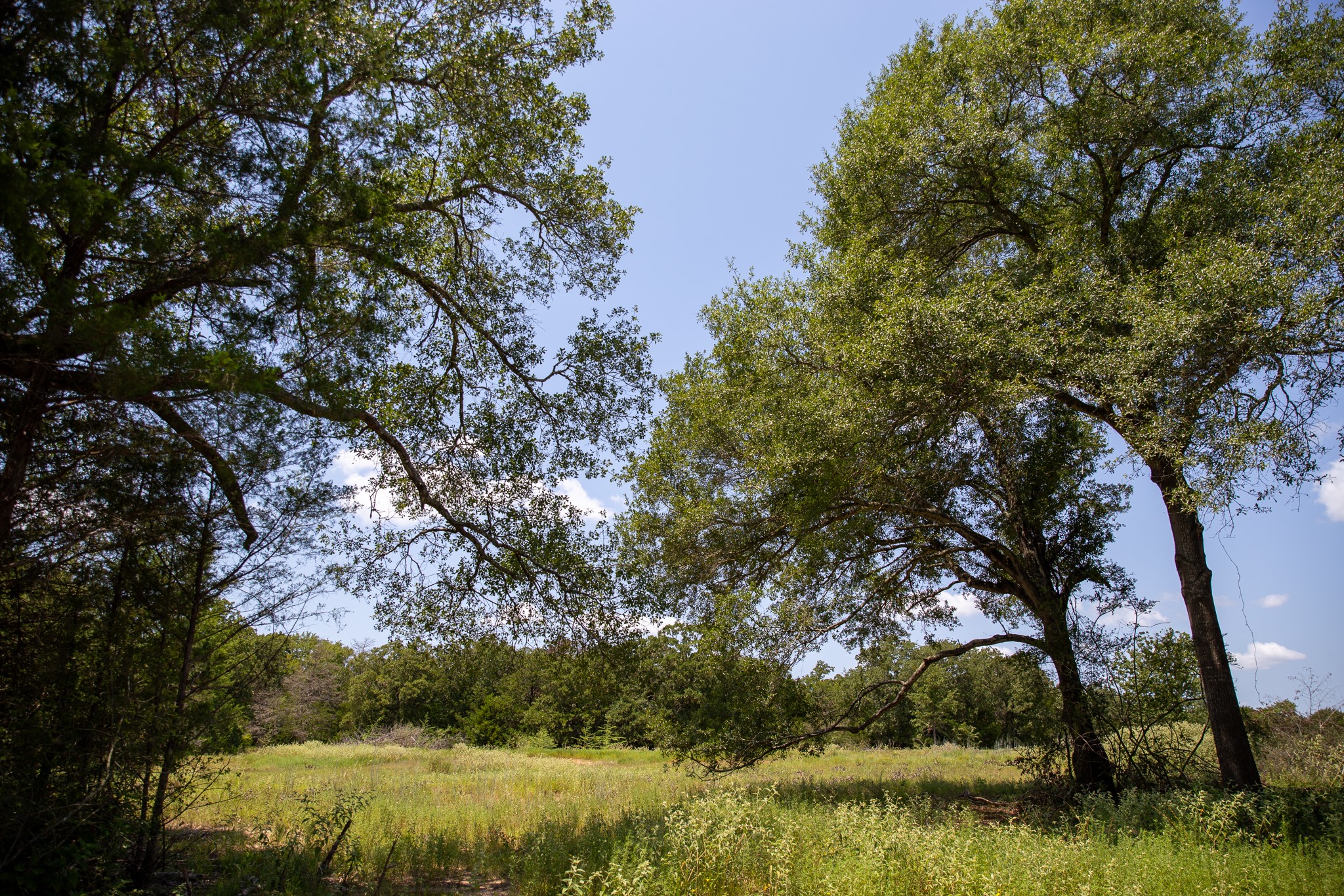 a view of lake with green space