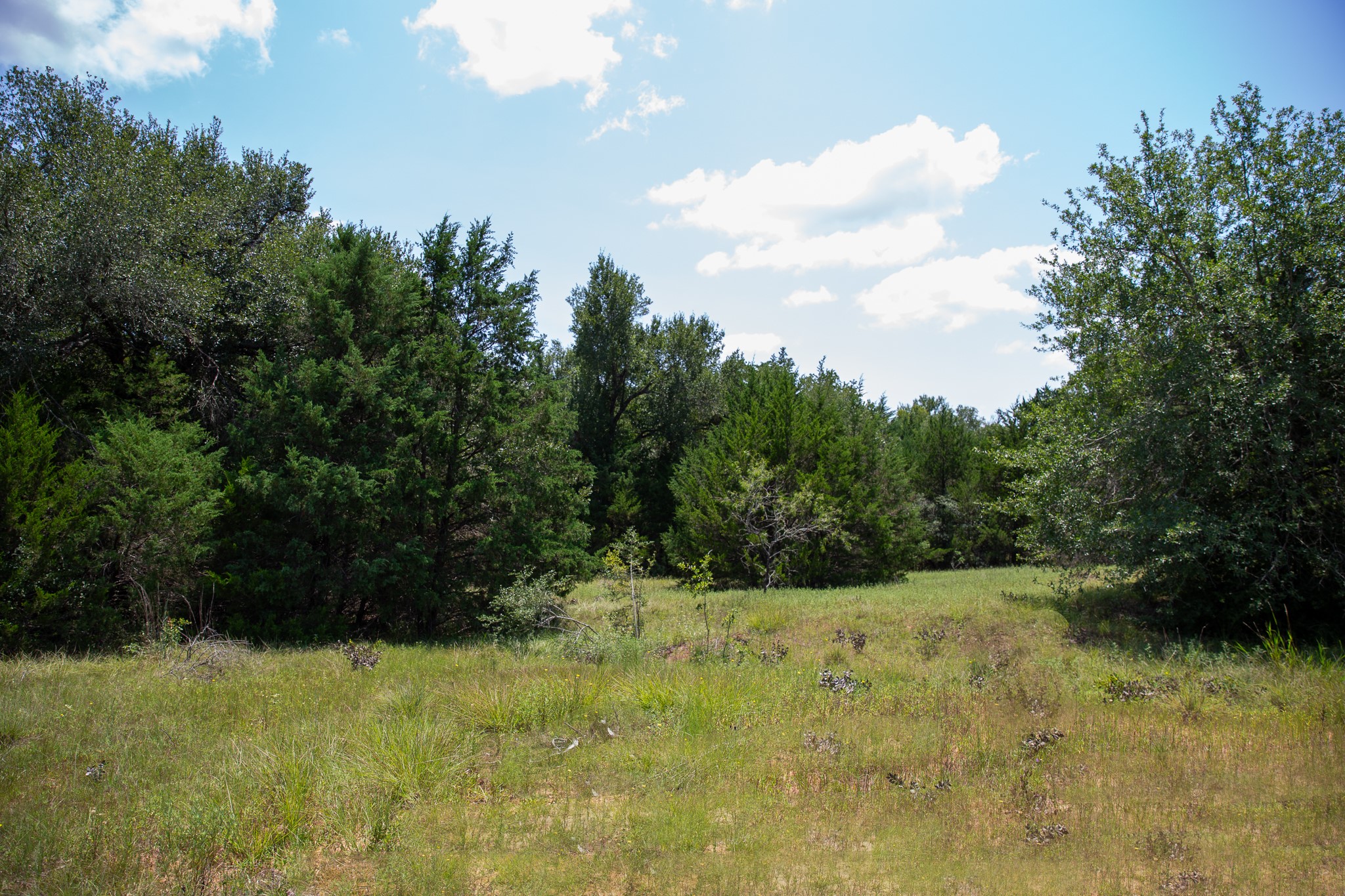 Lot 2 Rose Hill Road Calvert, TX 77837 - Photo 11 of 15 a view of outdoor space and yard