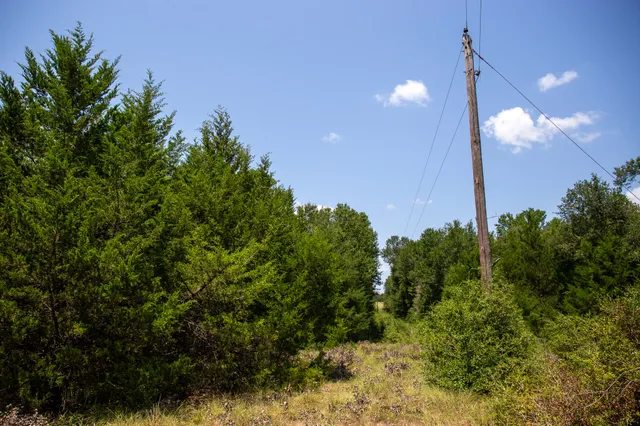 a view of a house with a tree in the background