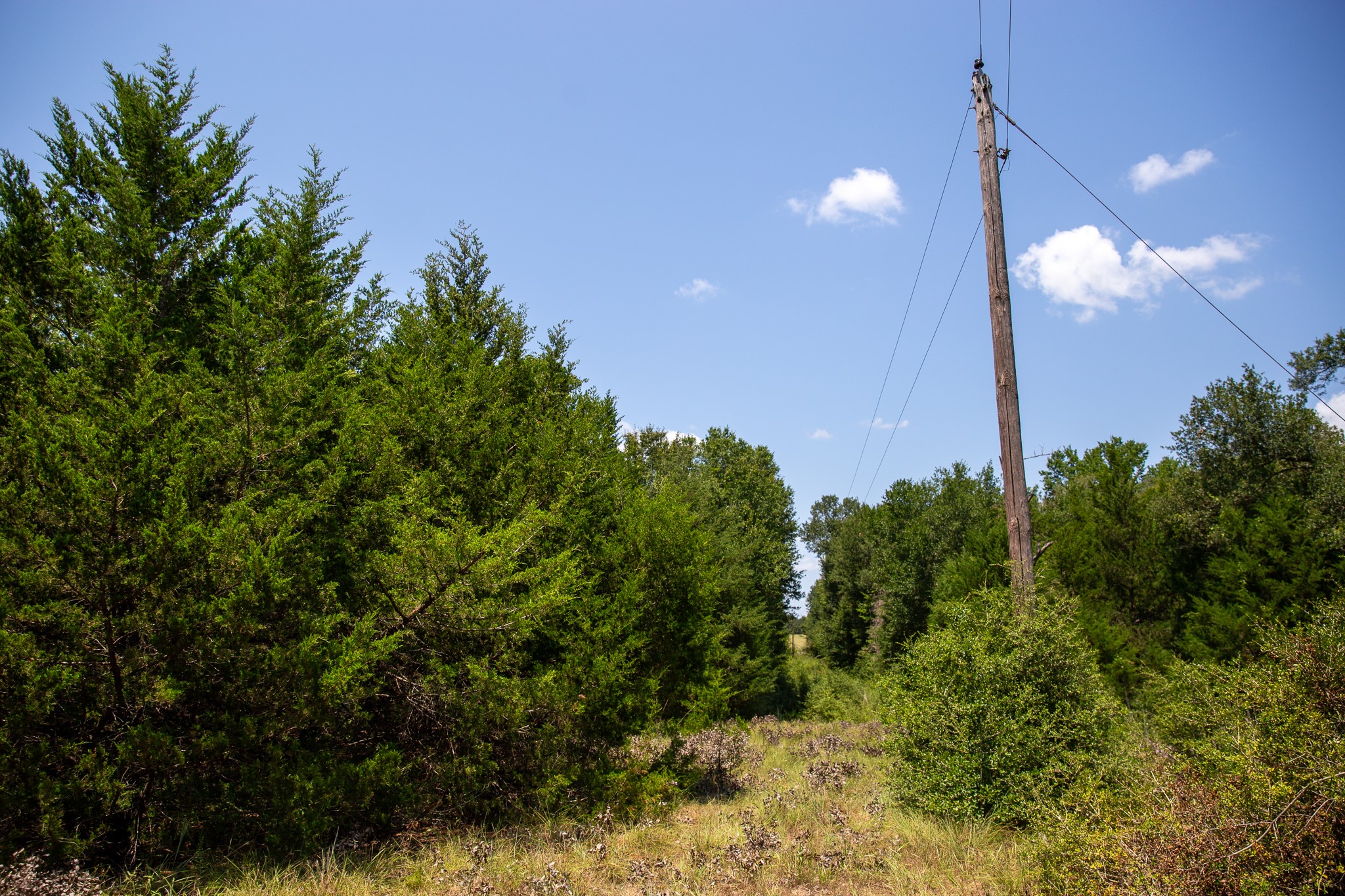 Lot 2 Rose Hill Road Calvert, TX 77837 - Photo 14 of 15 a view of a house with a tree in the background