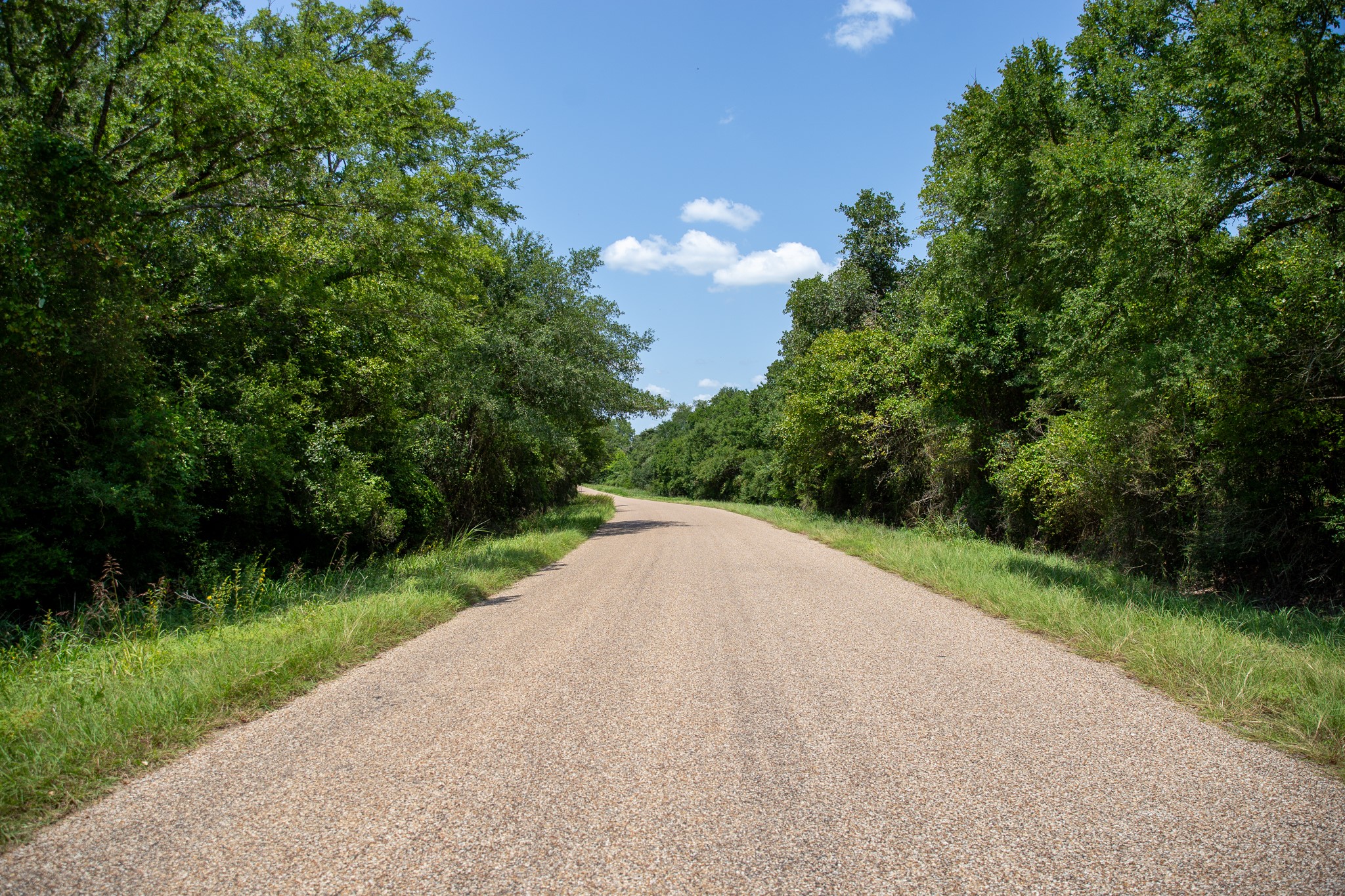 Lot 2 Rose Hill Road Calvert, TX 77837 - Photo 15 of 15 a view of a street