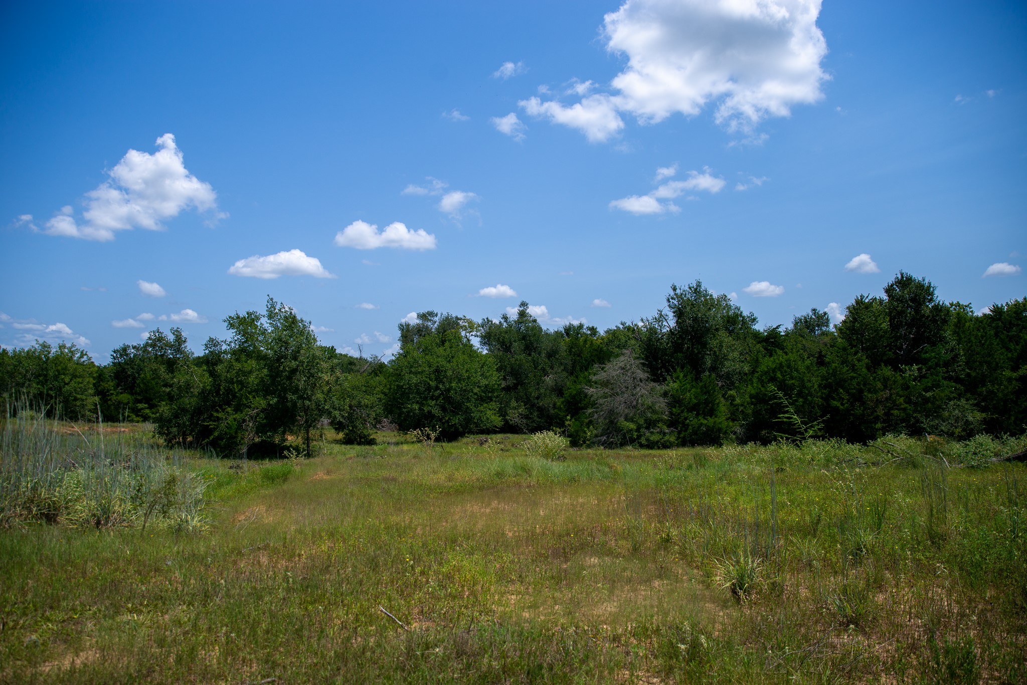 Lot 2 Rose Hill Road Calvert, TX 77837 - Photo 8 of 15 a view of a green field