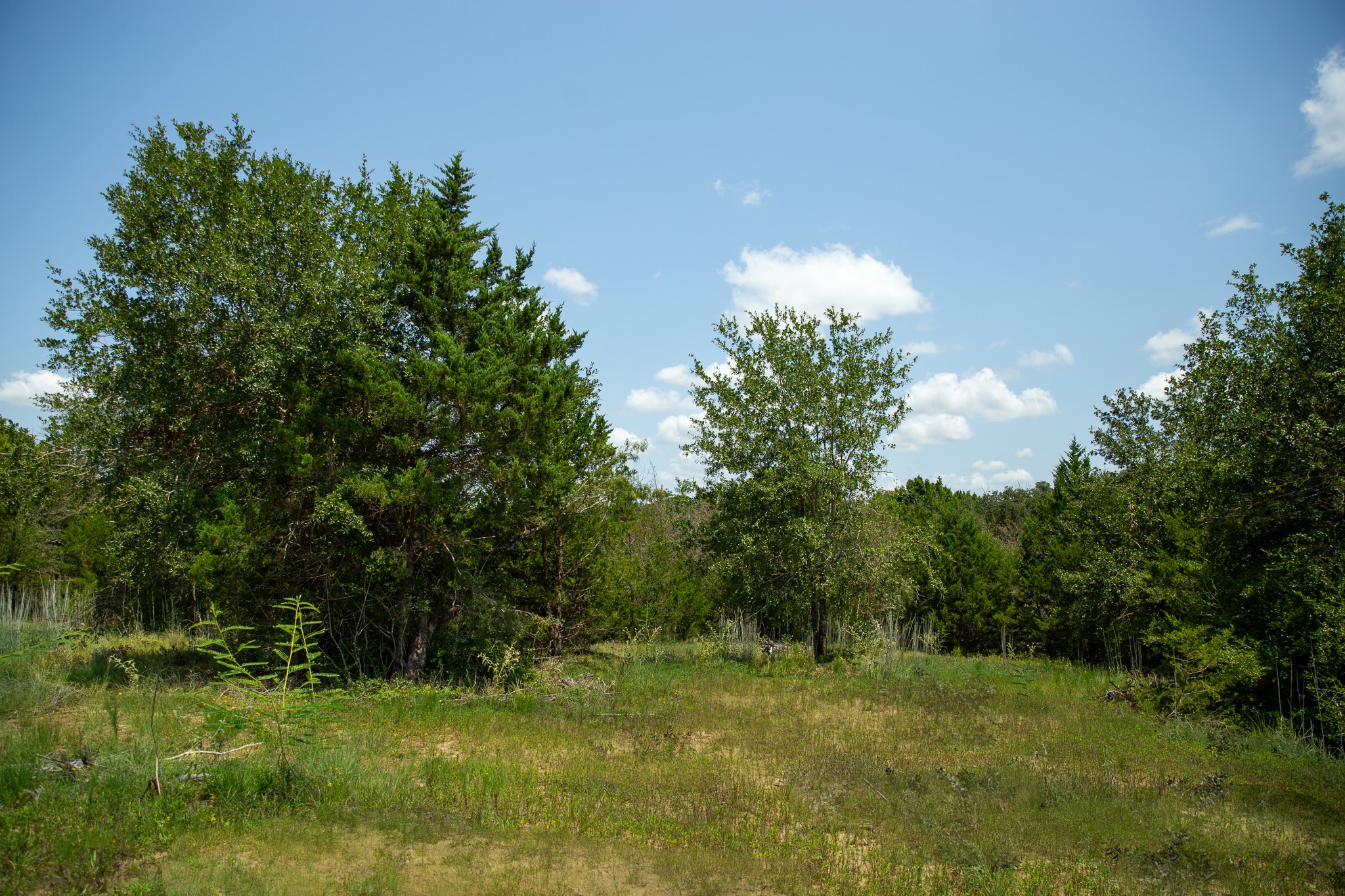 Lot 2 Rose Hill Road Calvert, TX 77837 - Photo 9 of 15 a view of yard with green space