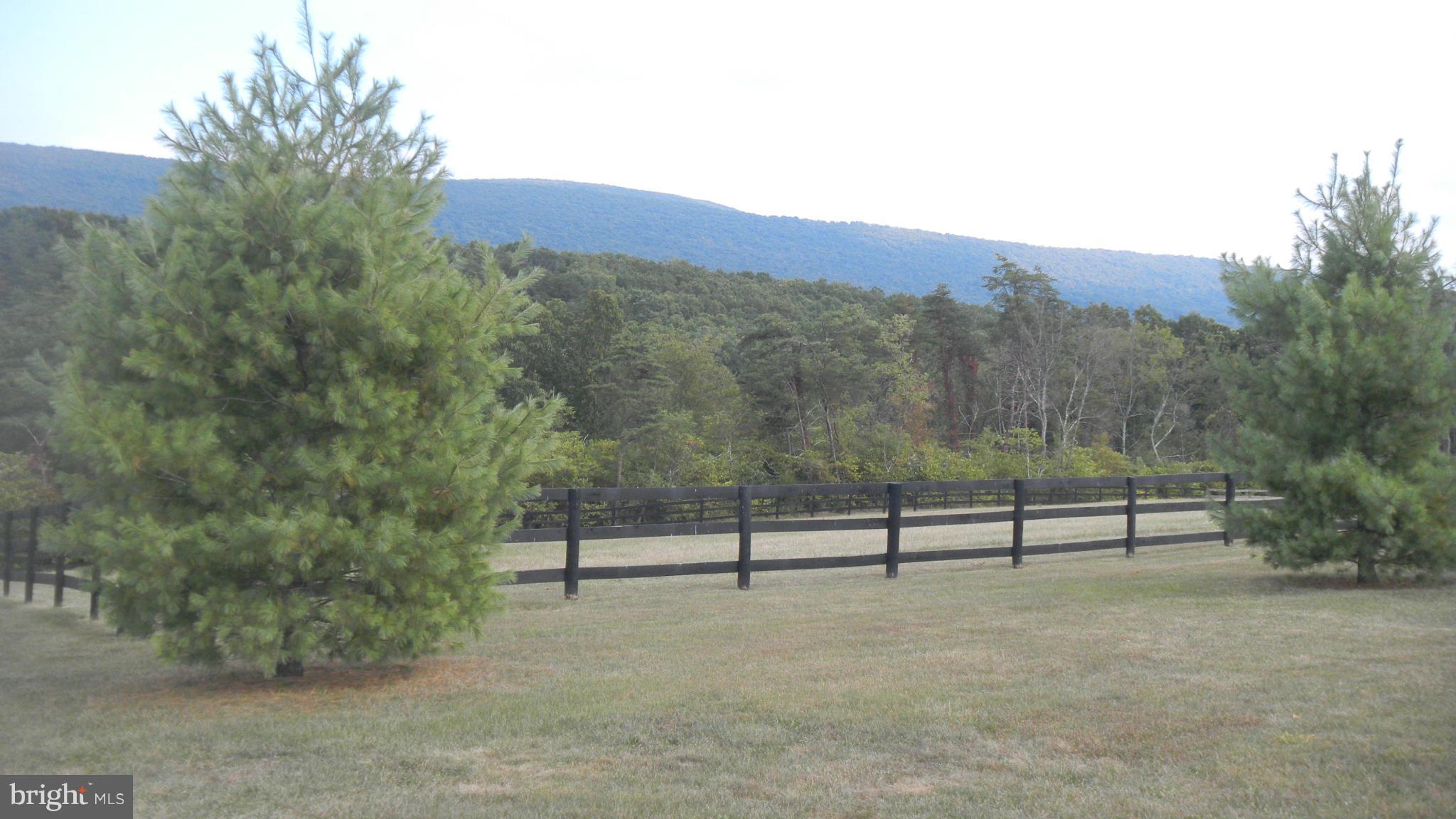 10455 Winchester Grade Road Berkeley Springs, WV 25411 - Photo 3 of 13 View