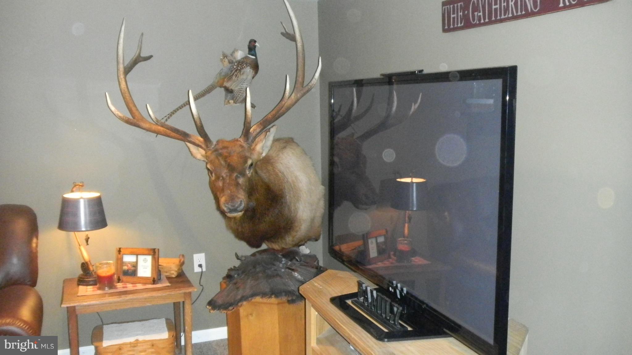 10455 Winchester Grade Road Berkeley Springs, WV 25411 - Photo 7 of 13 Interior (General)