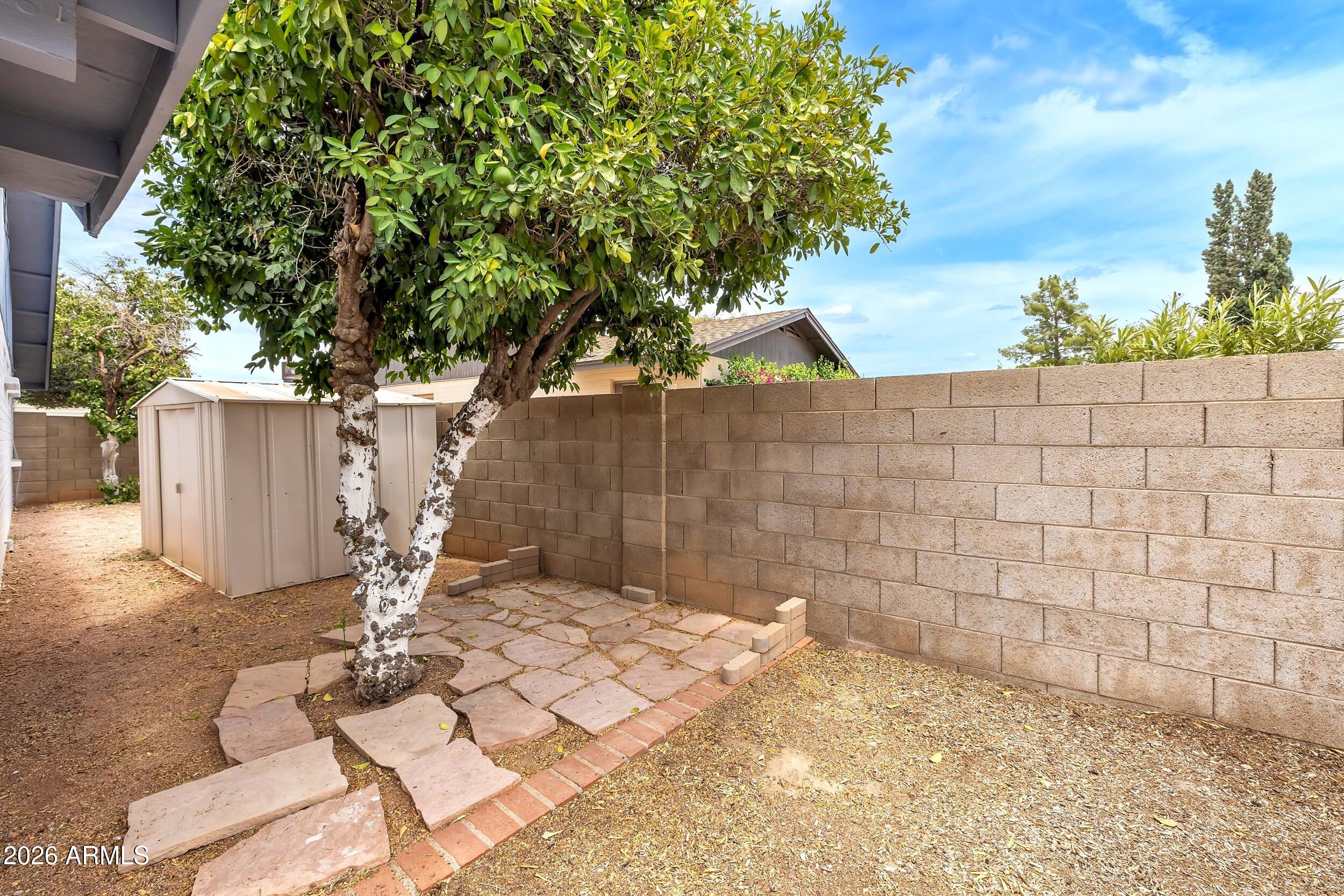 3833 West Phelps Road Phoenix, AZ 85053 - Photo 43 of 55 Side yard Orange tree