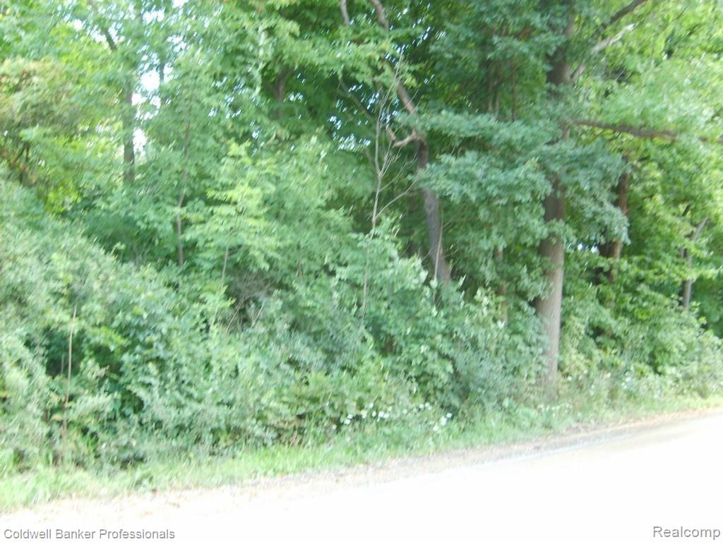 0 Chubb Road Northville, MI 48167 - Photo 4 of 20