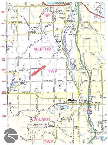 20-acres Off Vroman Road Wolverine, MI 49799 - Photo 13 of 13 1712927-12.JPG