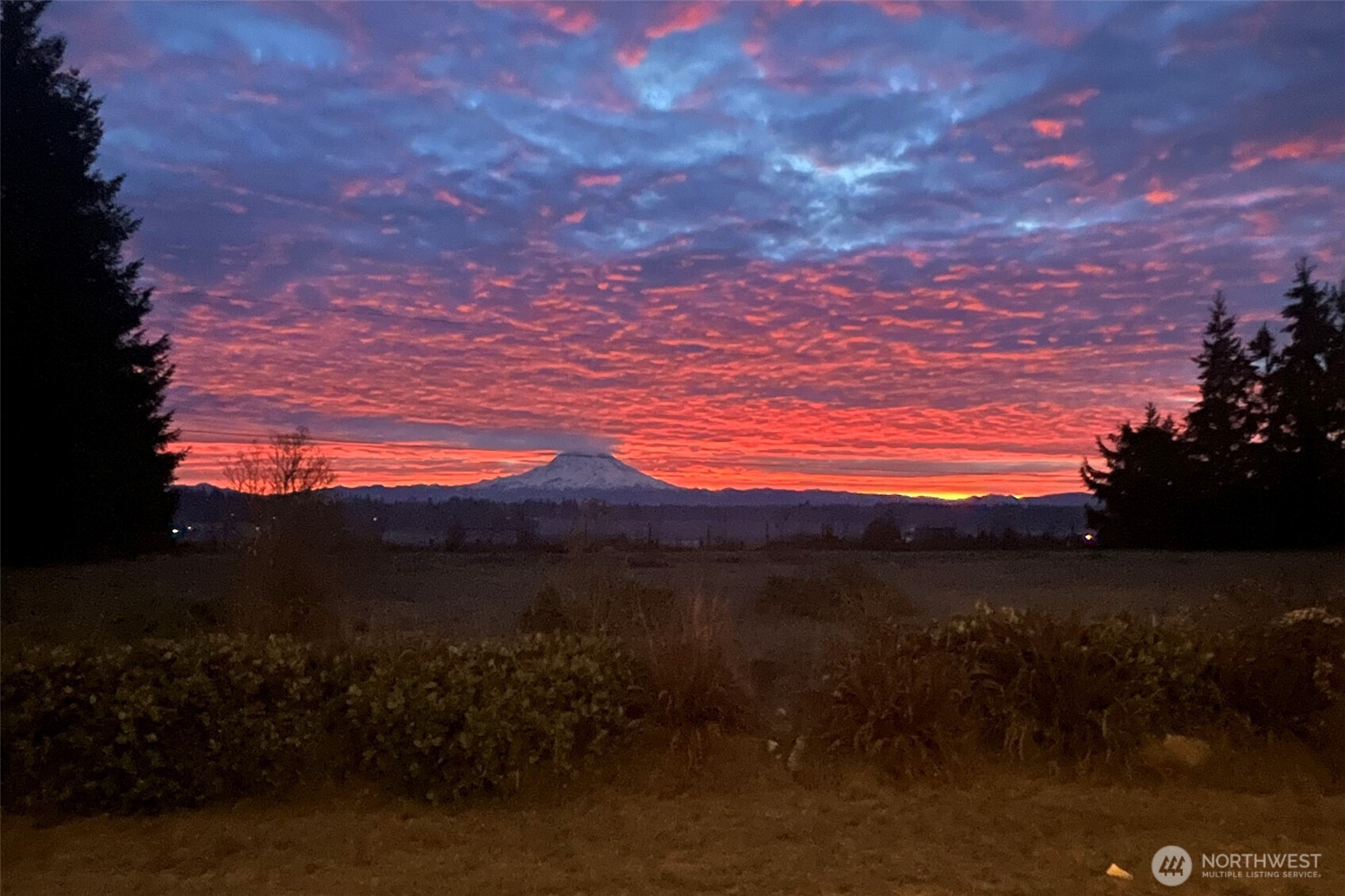 30608 40th Avenue South Roy, WA 98580 - Photo 37 of 40 a view of sunset