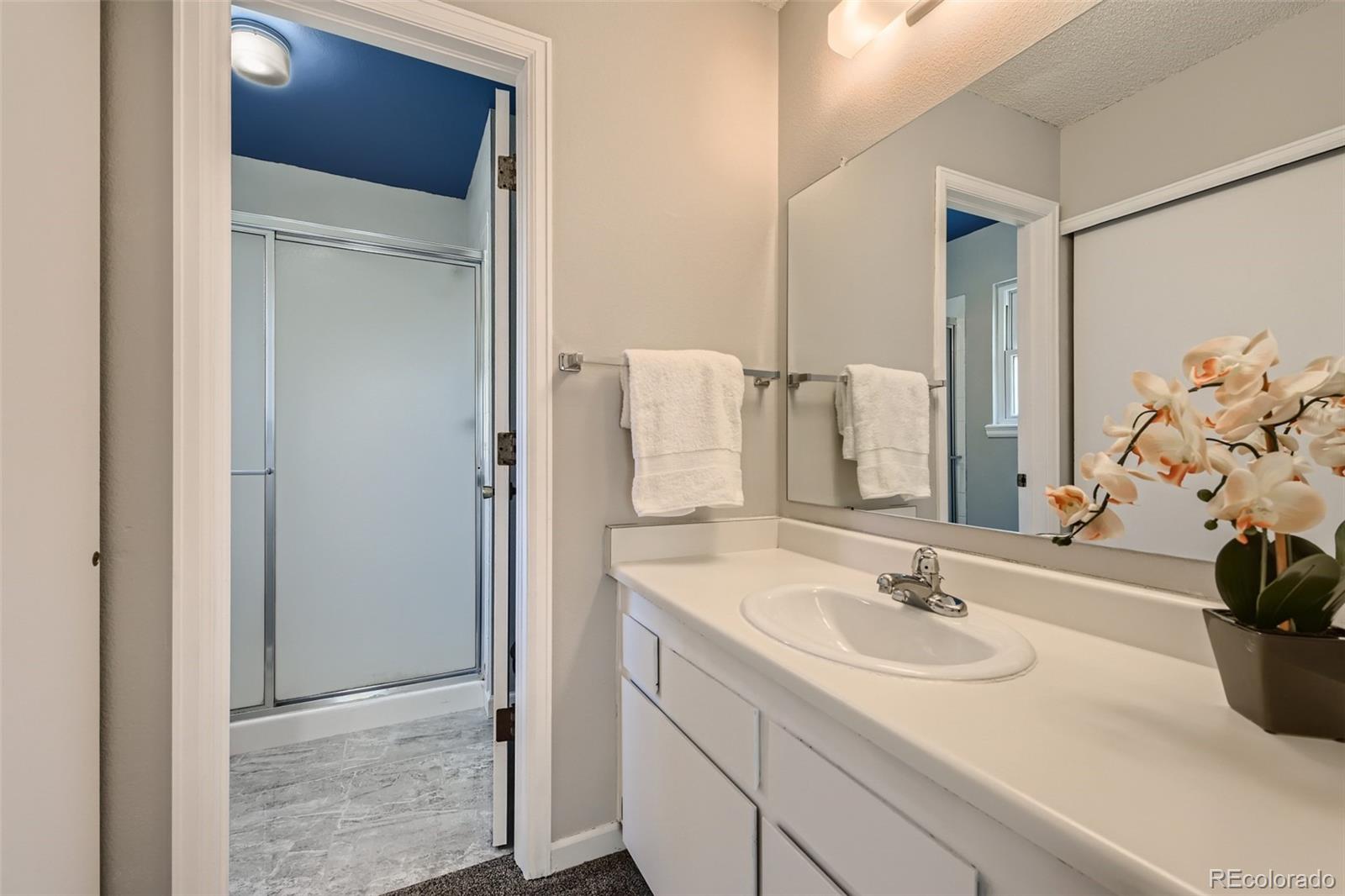 200 Quail Ridge Circle Highlands Ranch, CO 80126 - Photo 13 of 27 Gallery Image 13