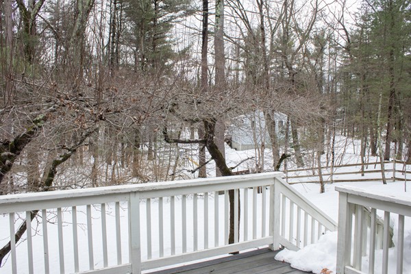 23 Belknap Road Medfield, MA 02052 - Photo 20 of 21 Gallery Image 20