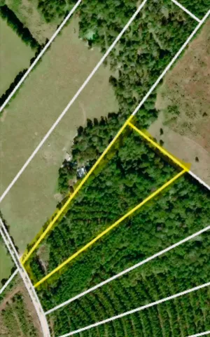 $135,000 | Tbd Kickapoo Road, Groveton, TX 75845