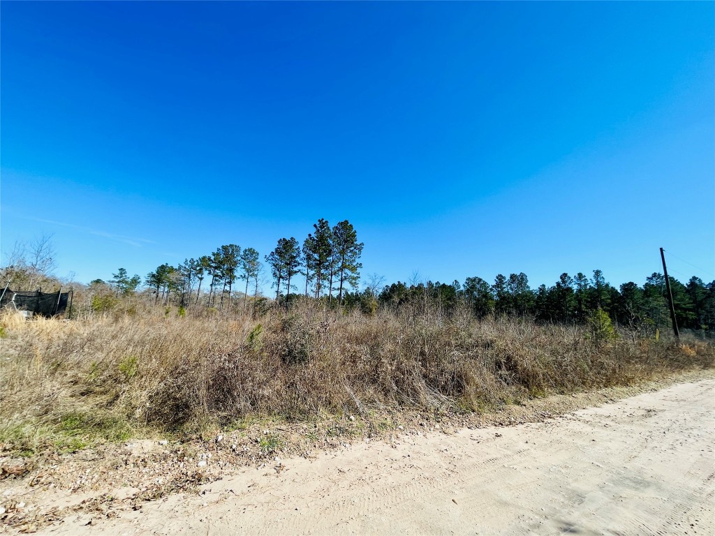 Tbd Kickapoo Road Groveton, TX 75845 - Photo 2 of 4 a view of a yard with a mountain