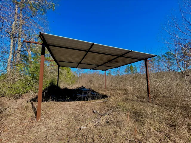 a view of a dry yard