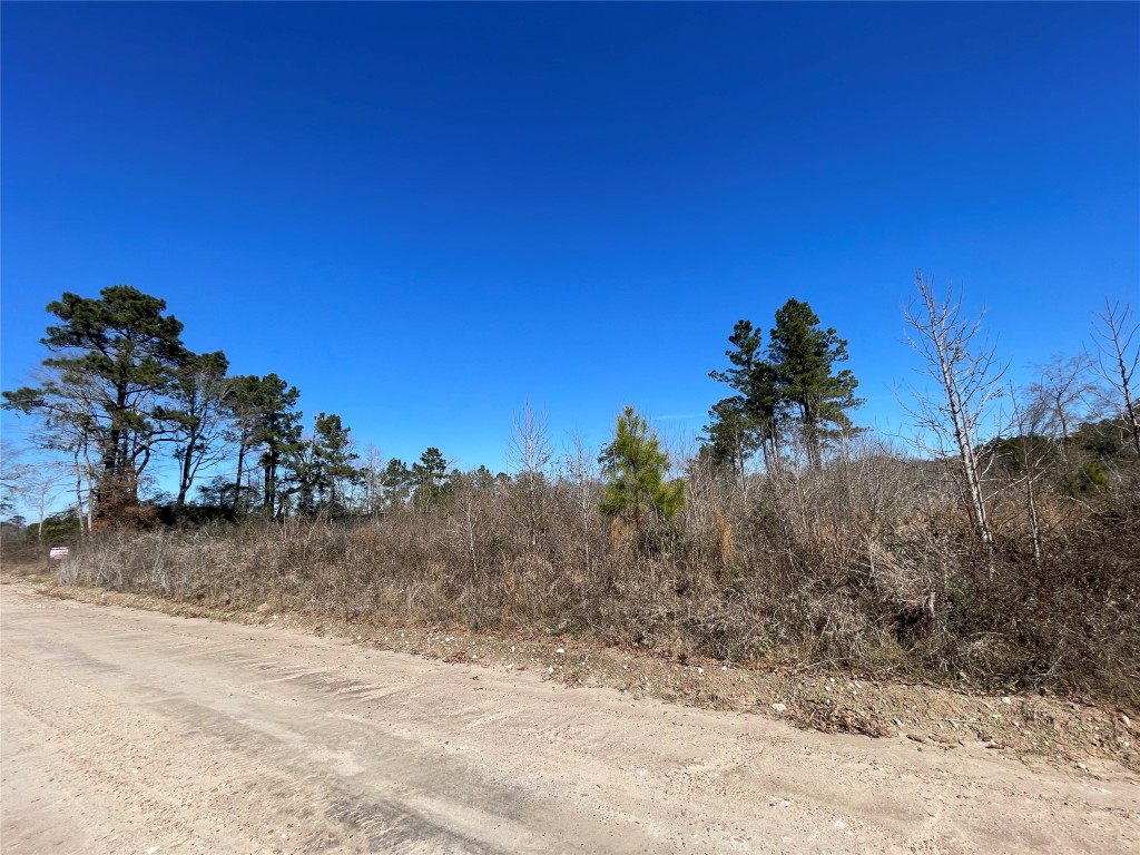 Tbd Kickapoo Road Groveton, TX 75845 - Photo 4 of 4 a view of a dry yard with trees
