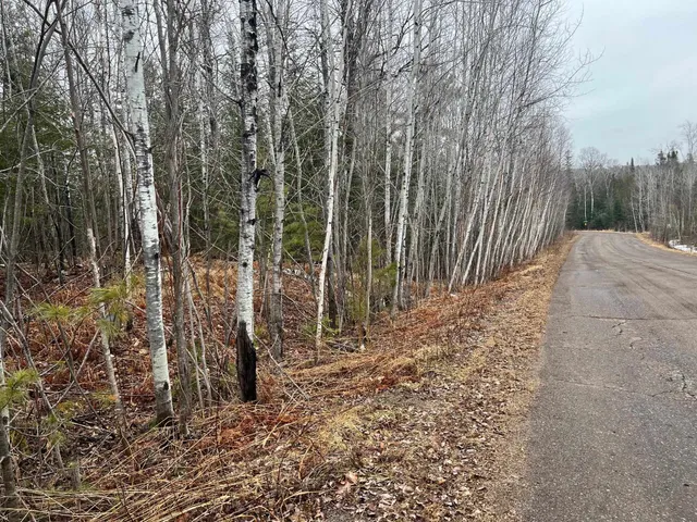 $60,000 | Xx Maple Hill Drive, Cloquet, MN 55720