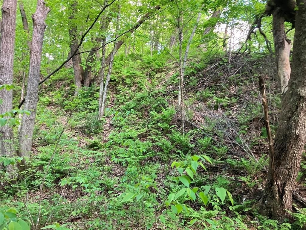 N3953-201 Bear Pen Road Arkansaw, WI 54721 - Photo 12 of 43