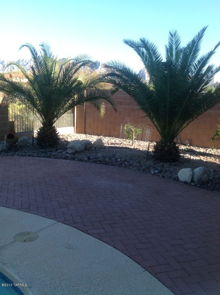 11372 Silver Pheasant Loop Tucson, AZ 85737 - Photo 23 of 24