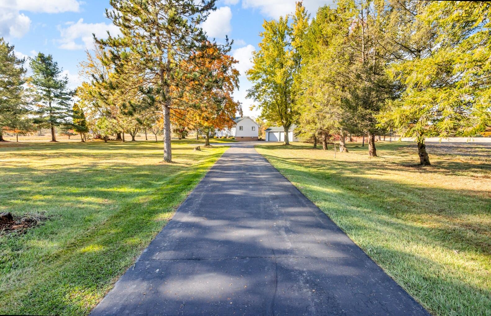 7794 Napoleon Road Jackson, MI 49201 - Photo 36 of 52 0N0A3158