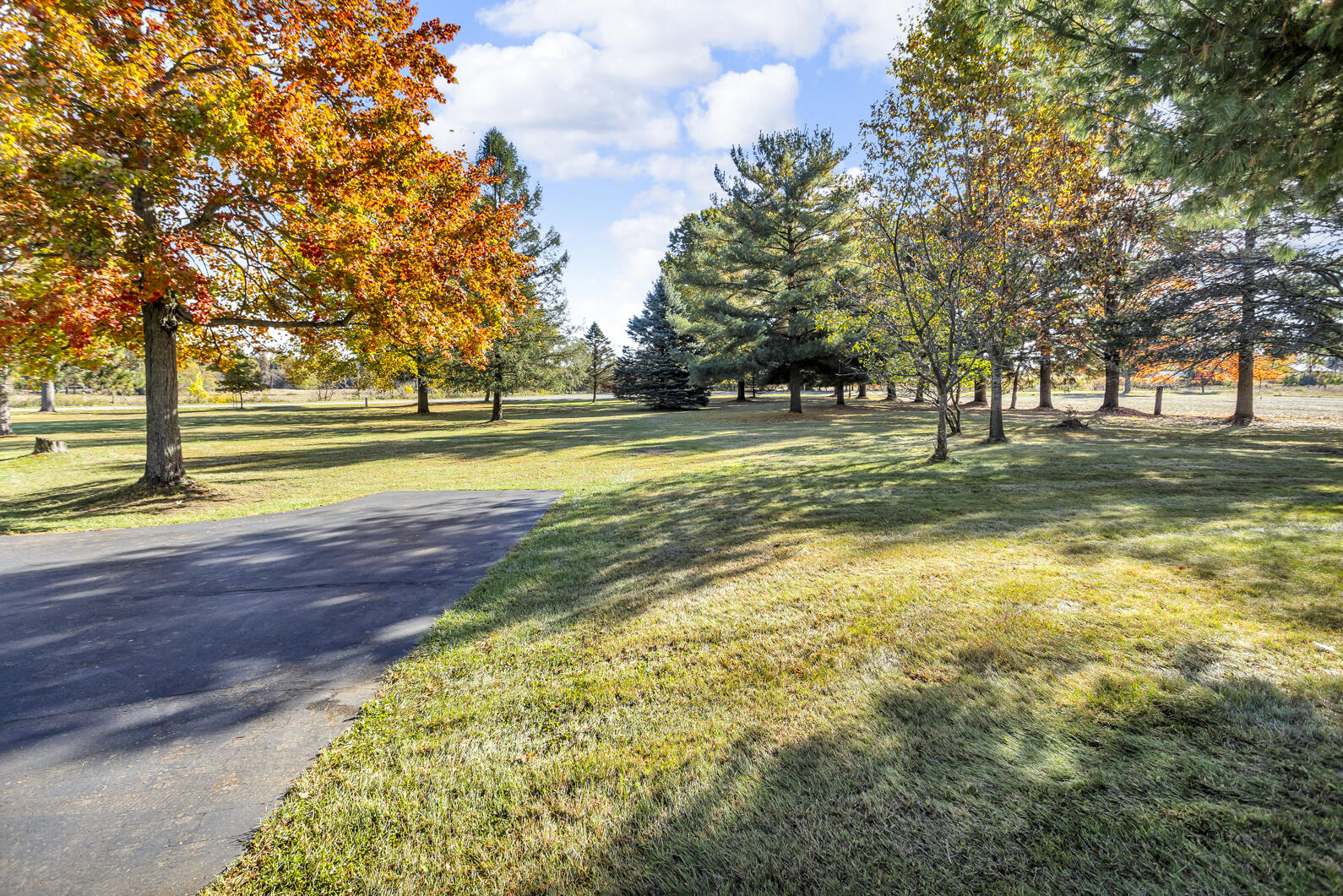7794 Napoleon Road Jackson, MI 49201 - Photo 46 of 52 0N0A3194