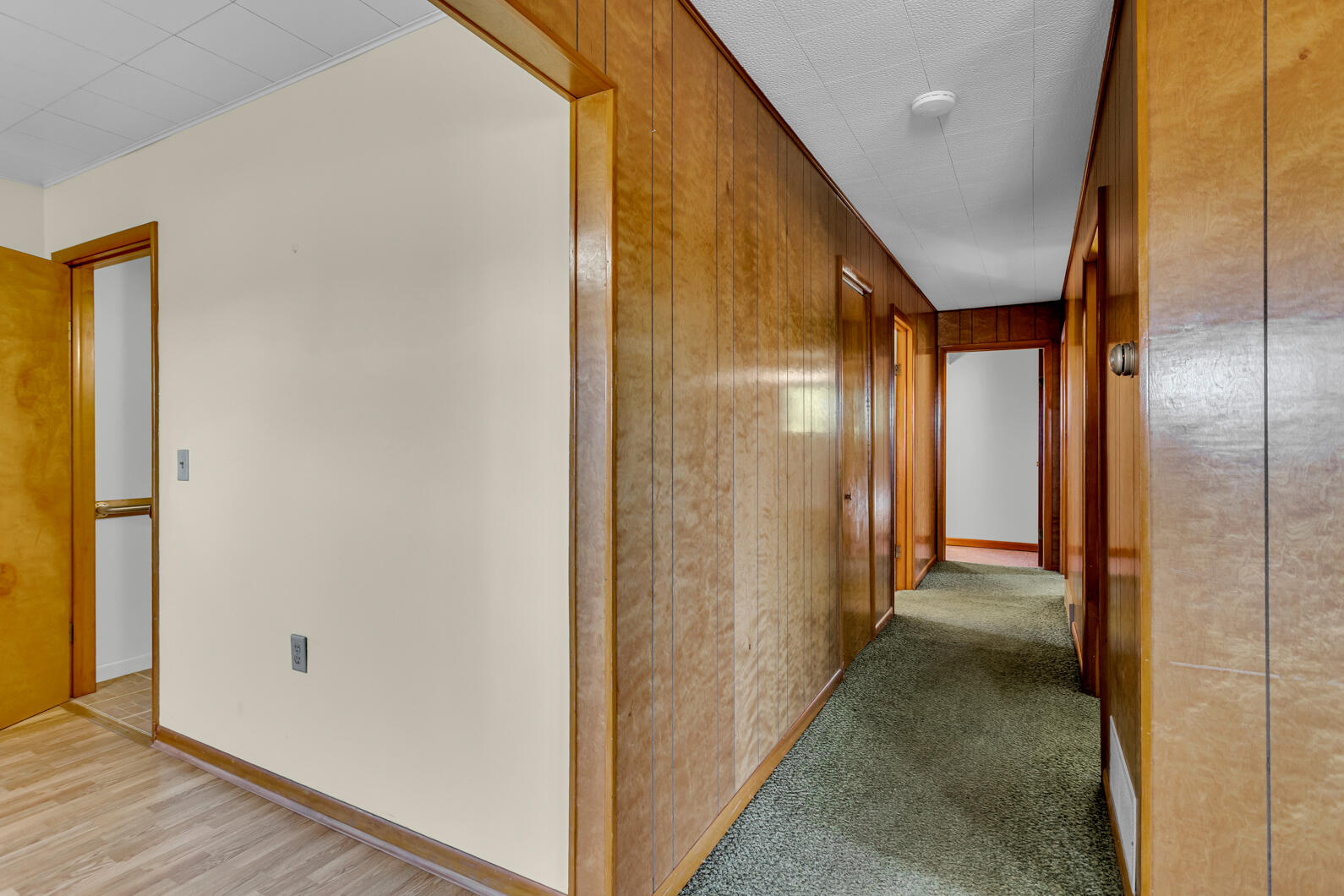 7794 Napoleon Road Jackson, MI 49201 - Photo 9 of 52 0N0A3209