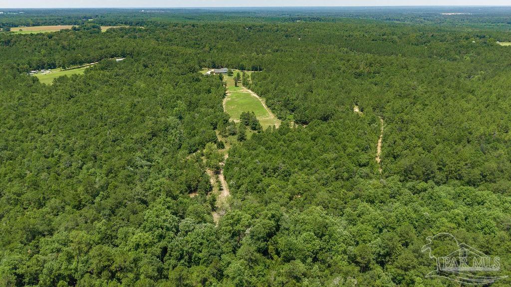6382 Daniel Griffis Road Jay, FL 32565 - Photo 57 of 59