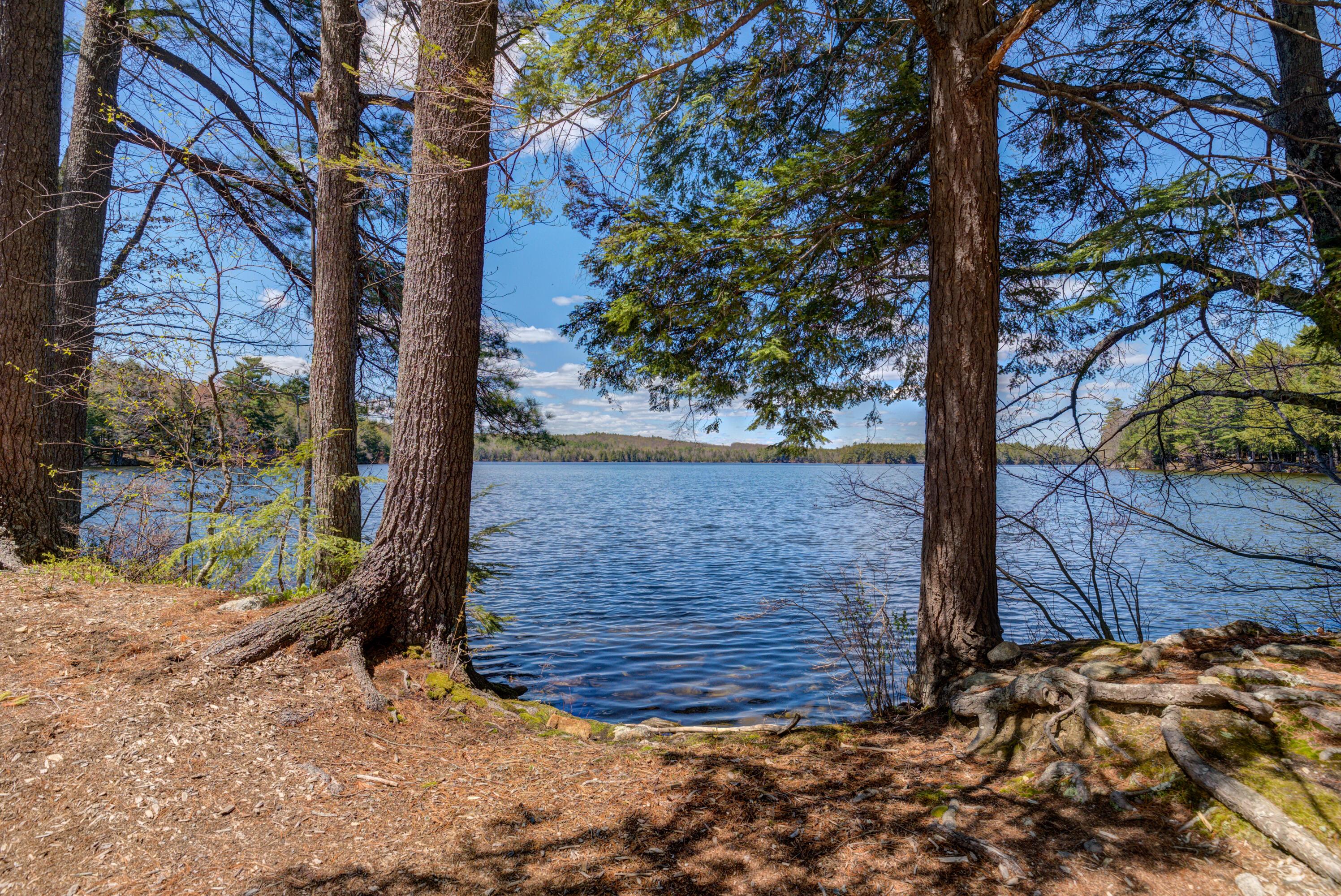 31 Saturday Pond Road Otisfield, ME 04270 - Photo 4 of 46 32-print-Pic#-31