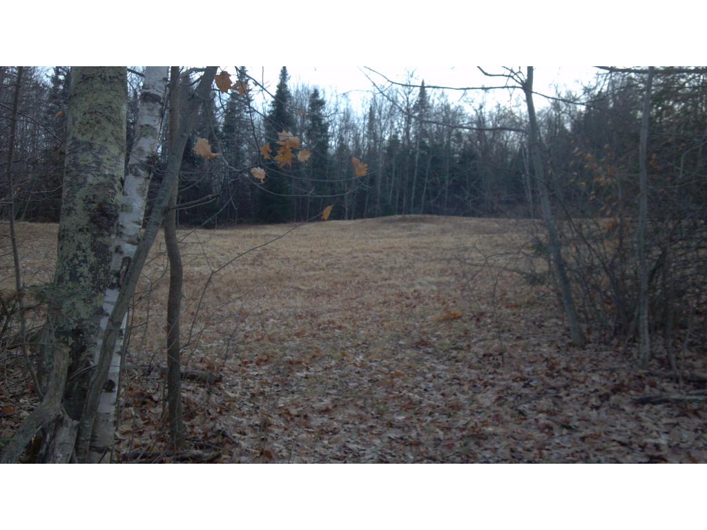 0 Mcgary Hill/ Garland Road Lancaster, NH 03584 - Photo 6 of 6 Gallery Image 6